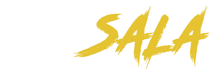 spinsala logo
